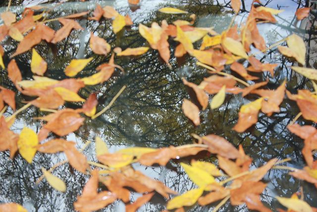 Sitzungsfreie Zeit der Herbstferien